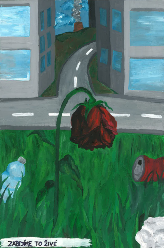 Karolína Procházková
